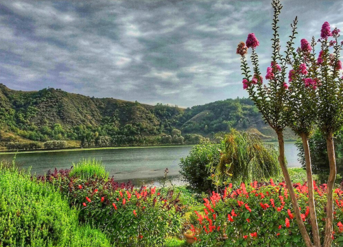 Mesmerizing Kashmir (9N10D)